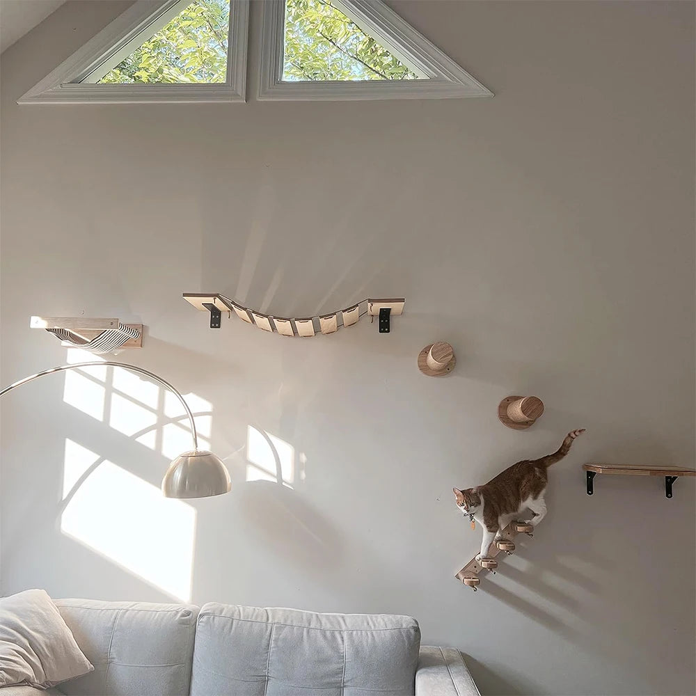 Cat Wall Climbing Shelf Steps Ladder